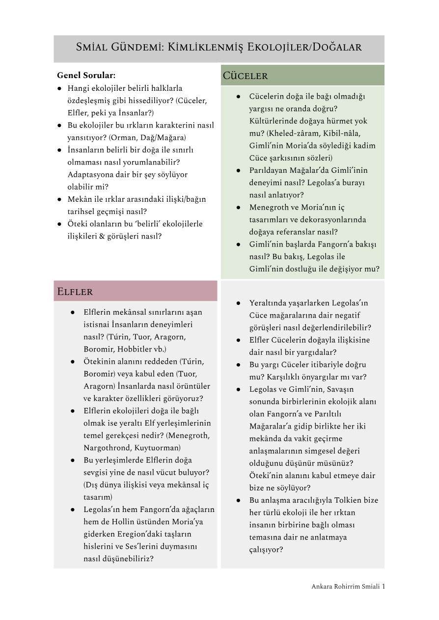 2025 Haziran Kimlikli Ekolojiler/Diyarlar — PDF'nin ilk sayfa önizlemesi